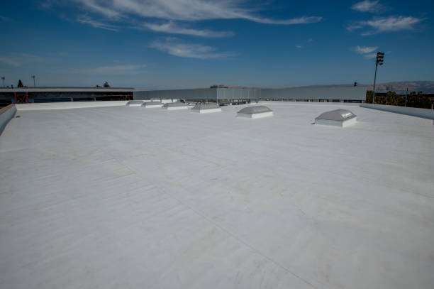 Best Steel Roofing  in Youngwood, PA