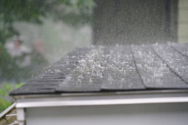 Best Roof Coating and Sealing  in Youngwood, PA